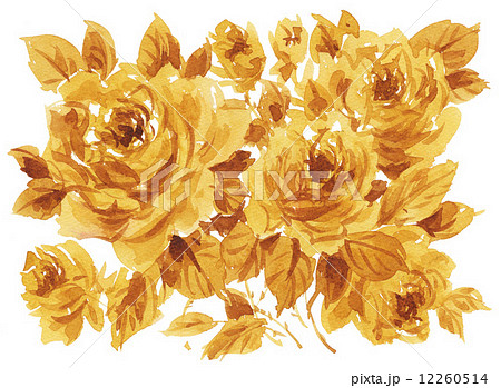 rosesmono14102pix1 12260514