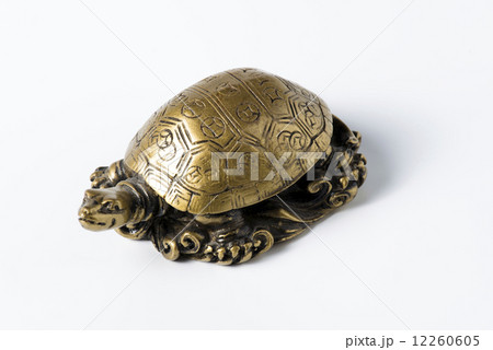 Feng shui golden metal turtle on white Feng shui golden metal turtle on white 12260605