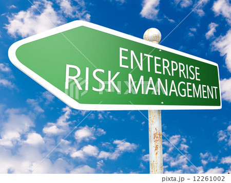 Enterprise Risk Management Enterprise Risk Management 12261002