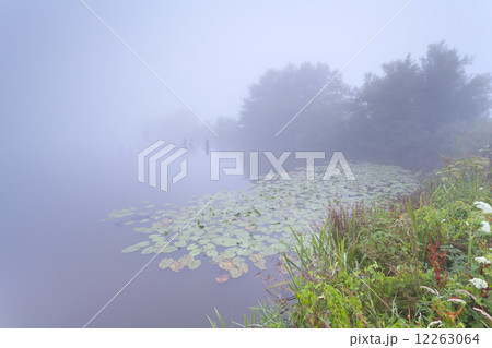 dense mist over wild lake dense mist over wild lake 12263064