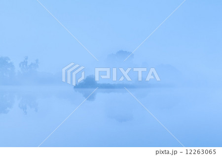 bush by lake in dense fog bush by lake in dense fog 12263065
