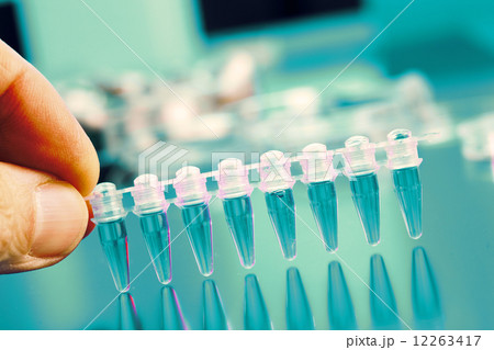 DNA profiling 12263417