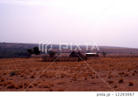 アダマワ州（ヌガウンデレ～メイガンガ間）の牧場 12263667