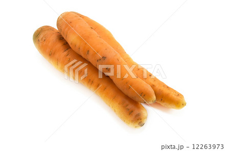 carrot 12263973