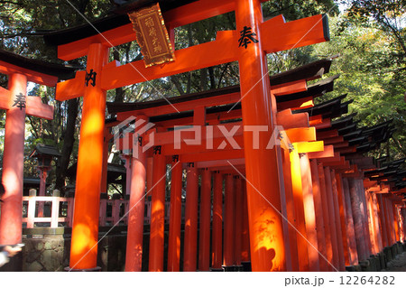 京都　伏見稲荷大社　鳥居 12264282
