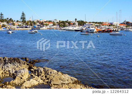 Yachts and boats, Punta del Este, Uruguay 12264312