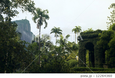 Botanical Garden in Rio de Janeiro, Brazil 12264360