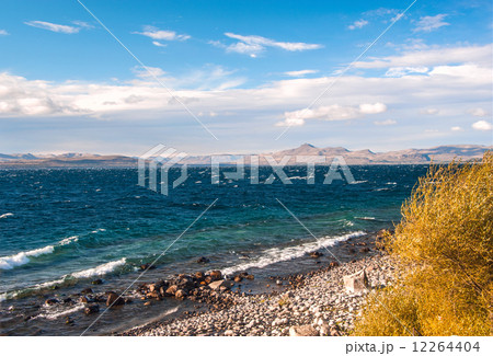Nahuel Huapi lake, Patagonia Argentina, near Bariloche Nahuel Huapi lake, Patagonia Argentina, near Bariloche 12264404