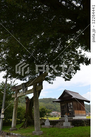 もうひとつの白兎神社 もうひとつの白兎神社 12264441