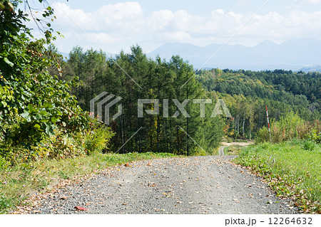 未舗装の山道 未舗装の山道 12264632