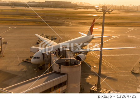 B777 12264725