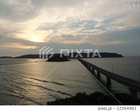 海 海 12264961