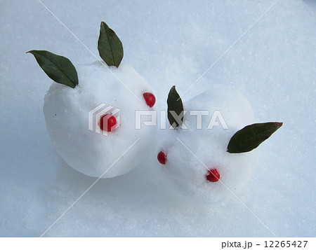 雪うさぎの写真素材 [12265427] - PIXTA