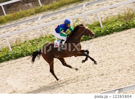 Horse racing. 12265804