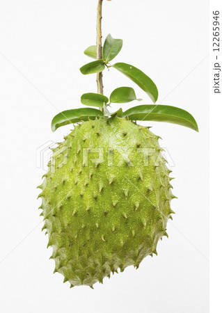 Soursop Soursop 12265946
