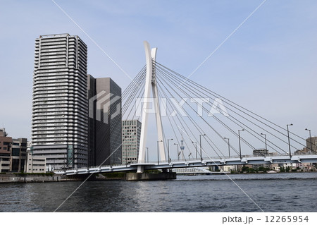 隅田川　中央大橋方面 12265954