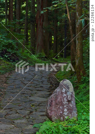 中山道　石畳 12266134