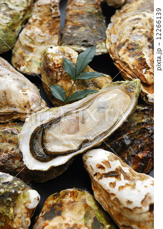 牡蠣 牡蠣 12266139