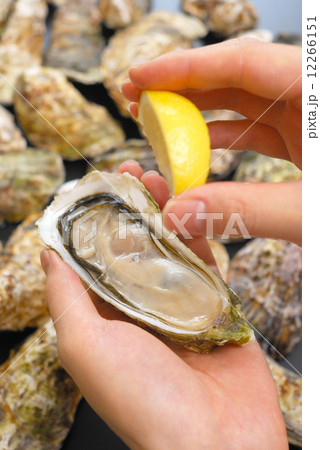 牡蠣 12266151