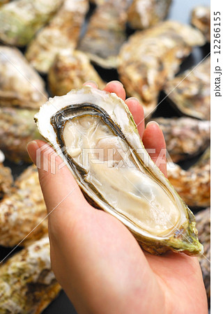 牡蠣 12266155