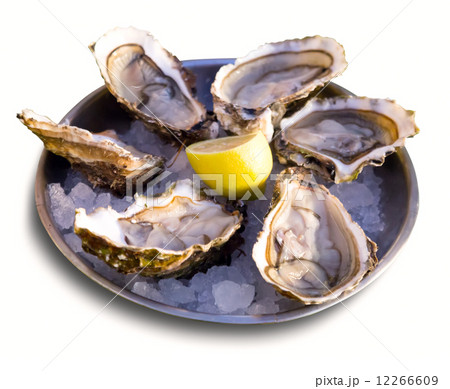 Oysters with lemon on plate Oysters with lemon on plate 12266609