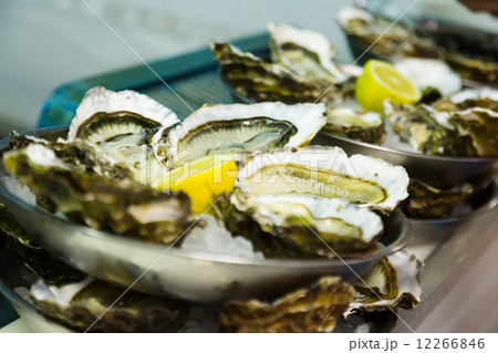 Oysters with lemon on plates Oysters with lemon on plates 12266846