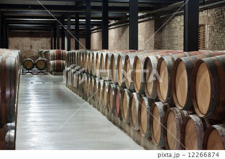 Interior  of  winery 12266874