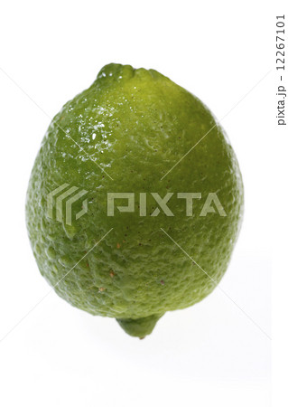 ライム 12267101