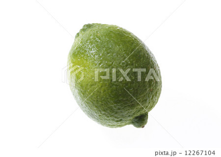 ライム 12267104