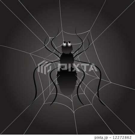 black spider 12272862