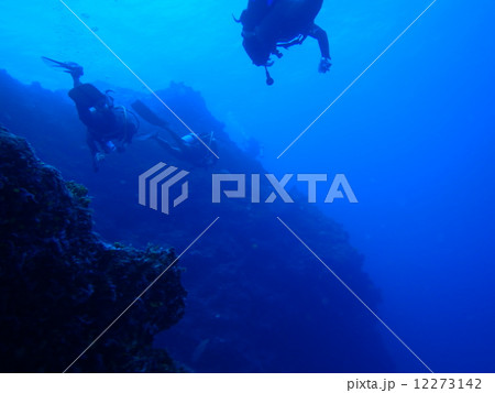 海の中から 海の中から 12273142