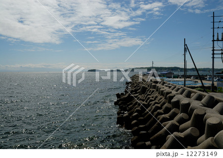1324　知多半島　日間賀島 12273149