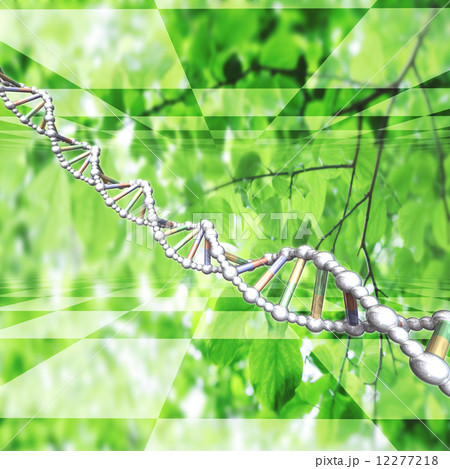 木漏れ日にある遺伝子配列のイメージ 木漏れ日にある遺伝子配列のイメージ 12277218