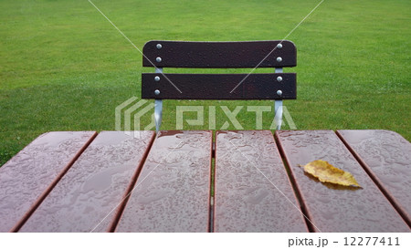 Empty table and chair in garden at rain Empty table and chair in garden at rain 12277411
