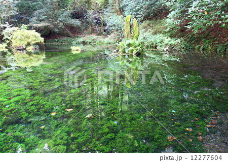 池山水源 池山水源 12277604