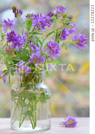 Bouquet flower in vase 12278221