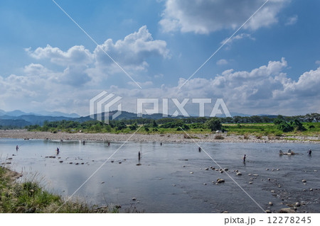 神通川の賑い 12278245
