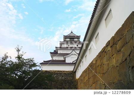 若松城 12278609