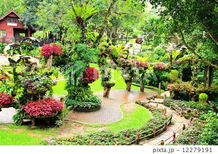 Mae Fah Luang Garden,locate on Doi Tung,Thailand Mae Fah Luang Garden,locate on Doi Tung,Thailand 12279191
