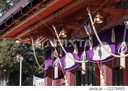 八坂神社　初詣 12279683