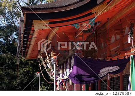 八坂神社　初詣 12279687
