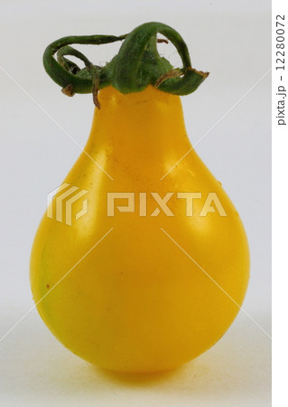 YellowTomato 12280072