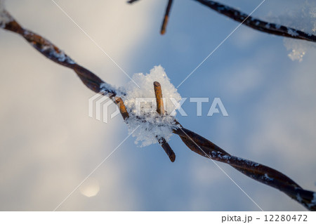 barbed wire in the snowy meadows 12280472