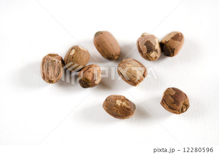 red lotus seed 12280596