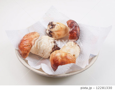 Porcini Mushroom 12281330