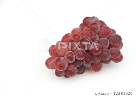 一房のブドウ 12281926