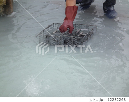 黒玉子 大涌谷 黒玉子 大涌谷 12282268