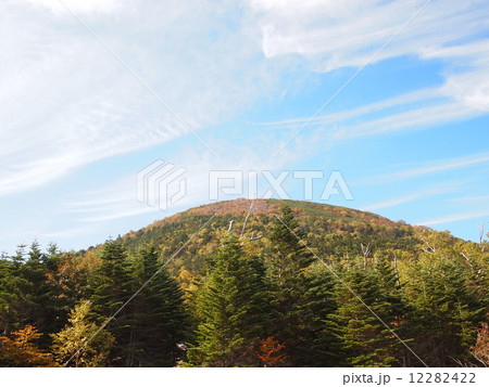 登山道から見上げる蓼科山山頂　 12282422
