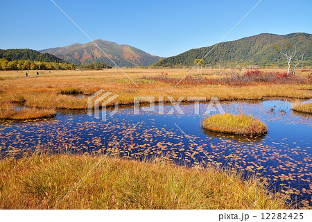 尾瀬の草紅葉 12282425