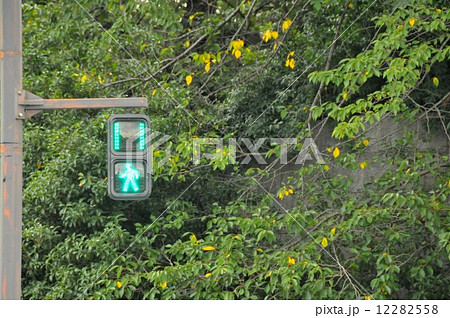 歩行者用信号機 歩行者用信号機 12282558